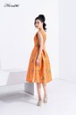 WDPBB2072 Ảnh của Đầm xoè cổ V