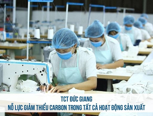 TCT ĐỨC GIANG NỖ LỰC GIẢM THIỂU CARBON TRONG TẤT CẢ HOẠT ĐỘNG SẢN XUẤT TCT ĐỨC GIANG NỖ LỰC GIẢM THIỂU CARBON TRONG TẤT CẢ HOẠT ĐỘNG SẢN XUẤT