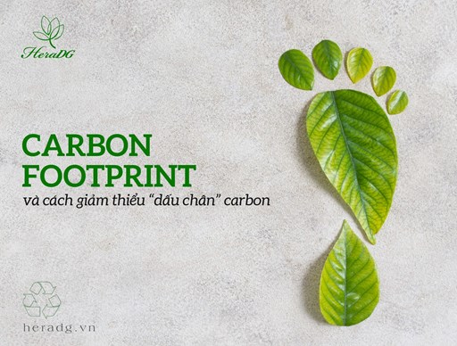 Carbon footprint và cách giảm thiểu "dấu chân carbon" Carbon footprint và cách giảm thiểu "dấu chân carbon"