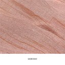 CLpa-15 Ảnh của Áo sơ mi nơ lưng