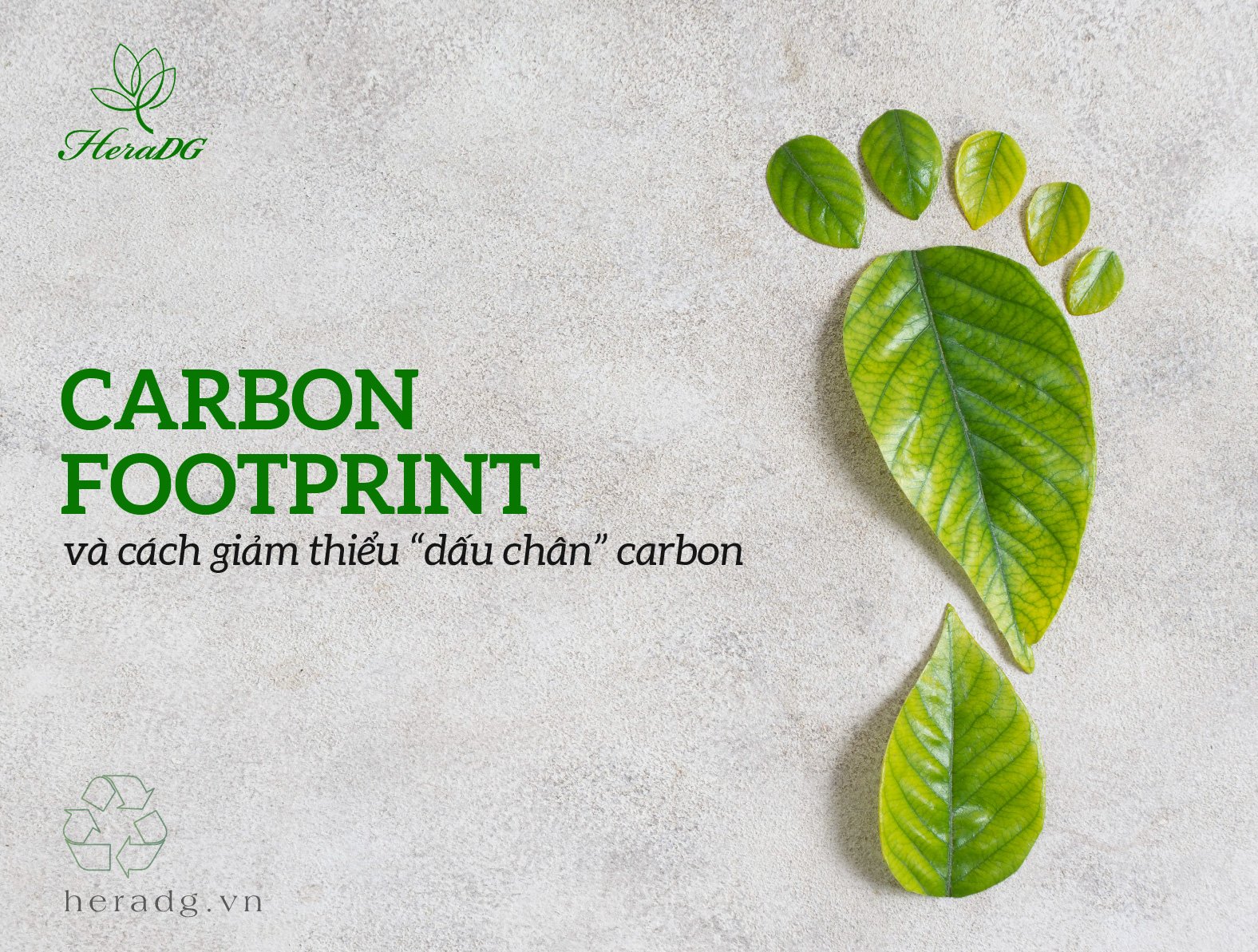 Carbon footprint và cách giảm thiểu "dấu chân carbon"