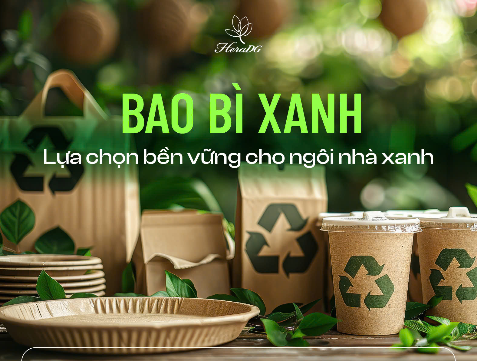 BAO BÌ XANH - LỰA CHỌN BỀN VỮNG CHO NGÔI NHÀ XANH